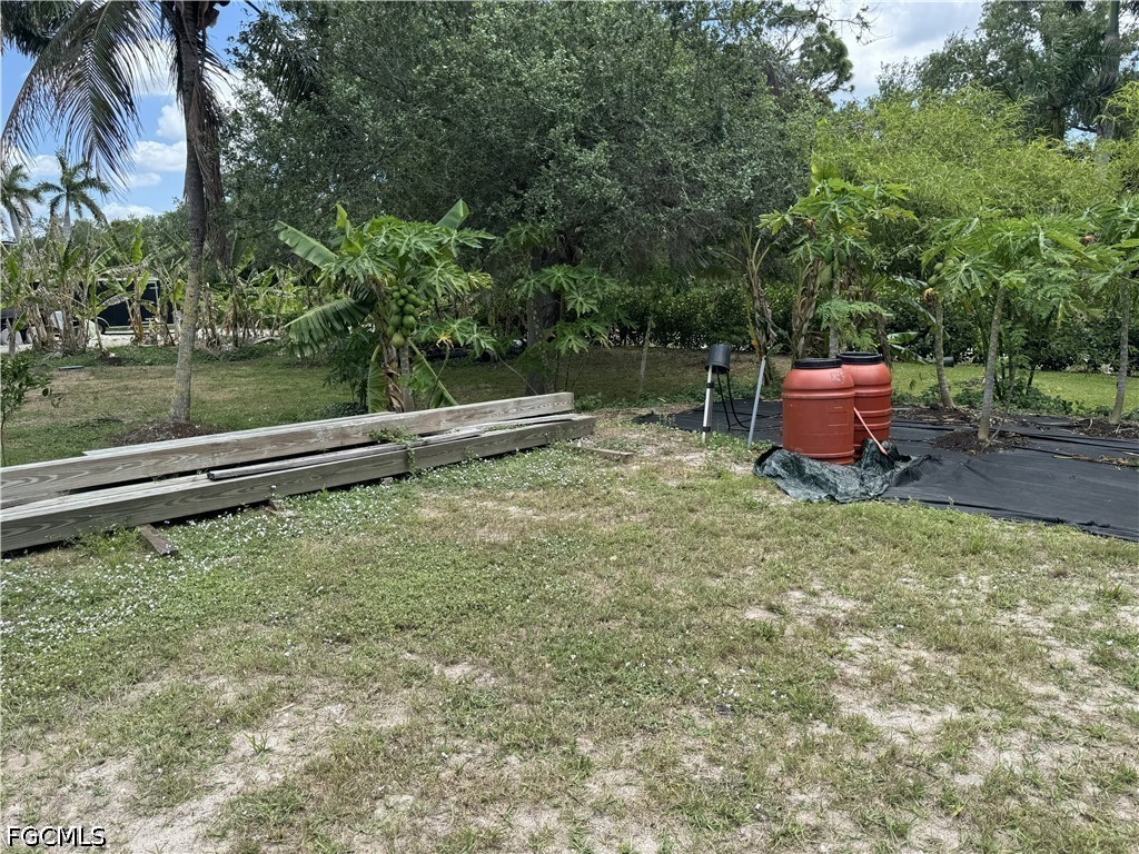 13641 Ficus Tree Lane Bokeelia, FL 33922 - Photo 26 of 33 a backyard of a house with lots of green space