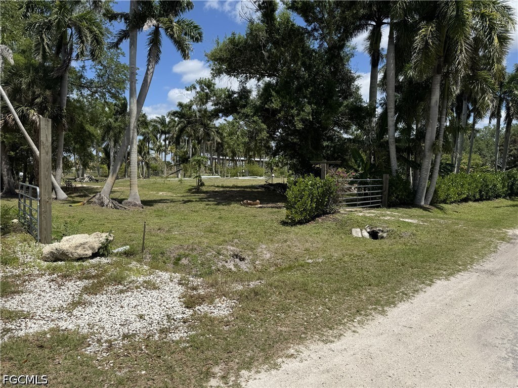 13641 Ficus Tree Lane Bokeelia, FL 33922 - Photo 4 of 33 a backyard of a house with lots of green space