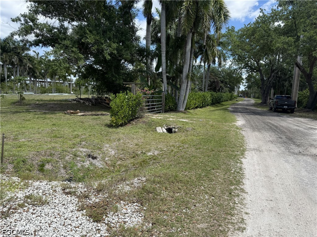 13641 Ficus Tree Lane Bokeelia, FL 33922 - Photo 6 of 33 a backyard of a house with lots of green space