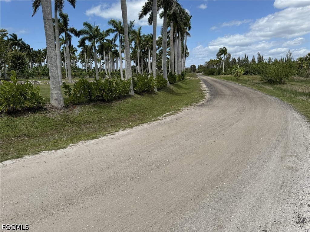 13641 Ficus Tree Lane Bokeelia, FL 33922 - Photo 8 of 33 an aerial view of a yard with palm trees