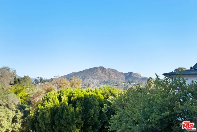 a view of a lush green field with lots of bushes
