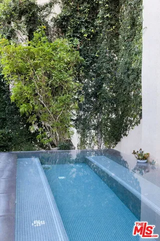 a view of a hardwood floor and a plant