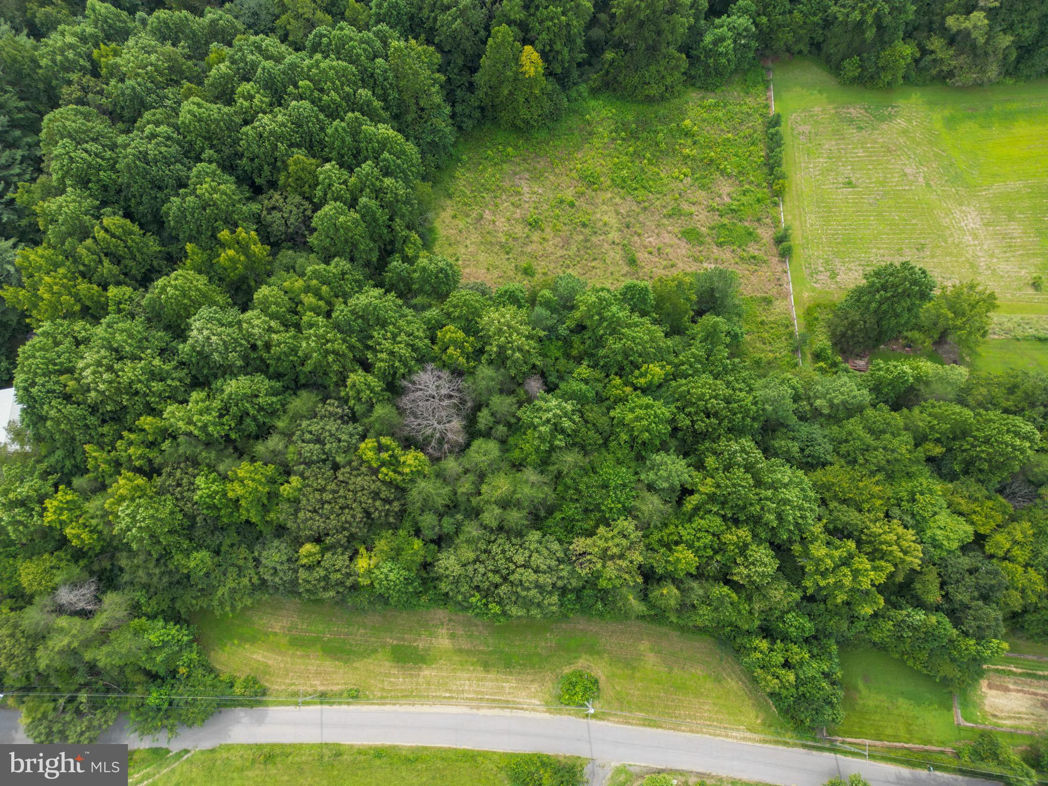 Mt Calvert Road Upper Marlboro, MD 20772 - Photo 8 of 19