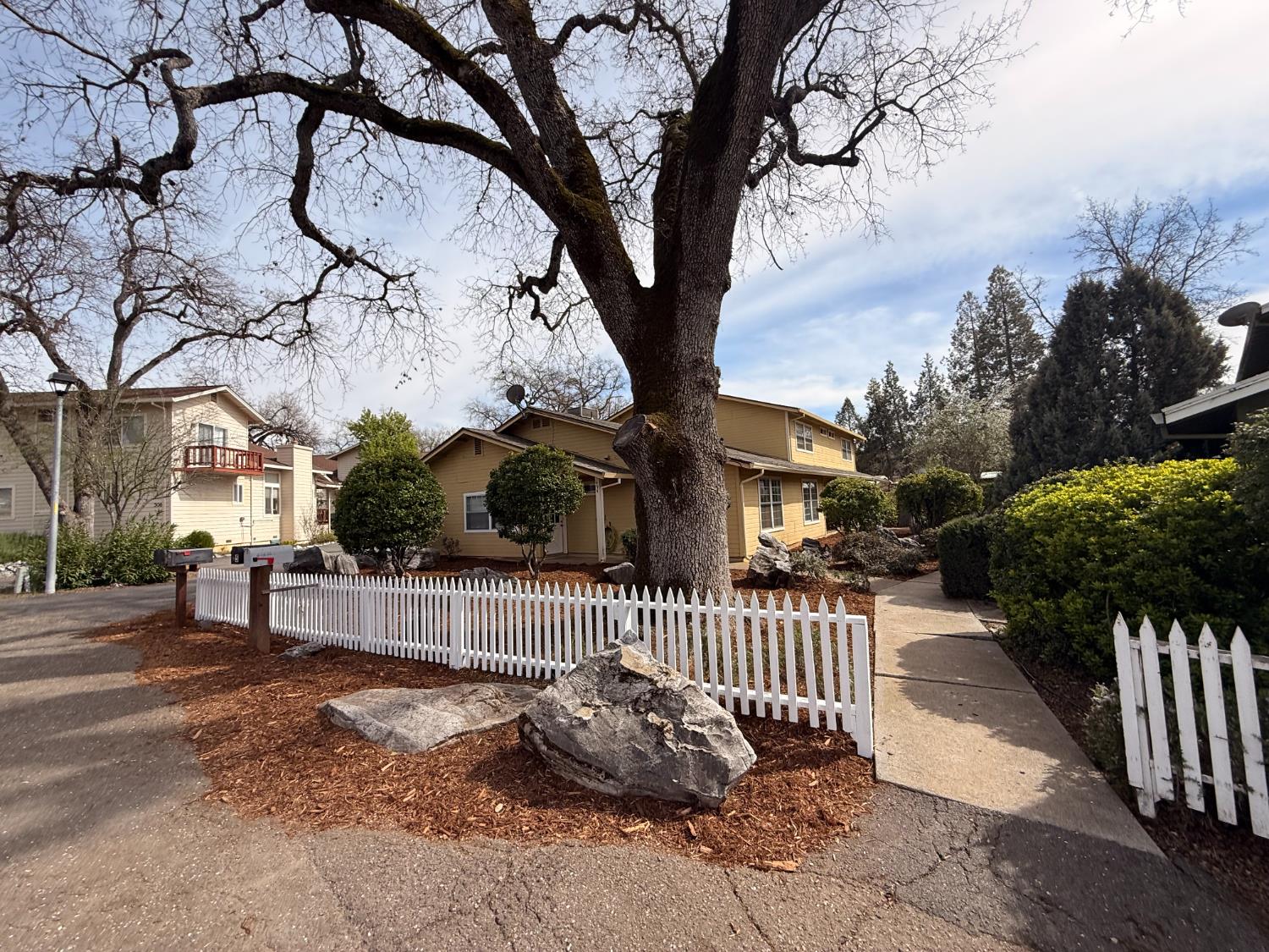 494 Surrey Court Murphys, CA 95247 - Photo 76 of 76 a view of a house with a small yard and a large tree