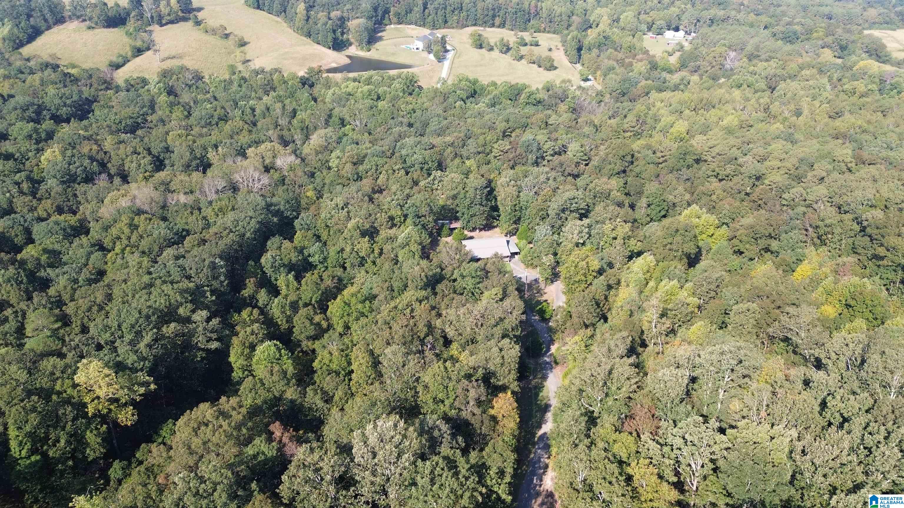2055 Gum Pond Road Eva, AL 35621 - Photo 63 of 64