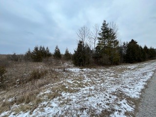 Tbd Lakeview Drive Kewaunee, WI 54216 - Photo 10 of 12