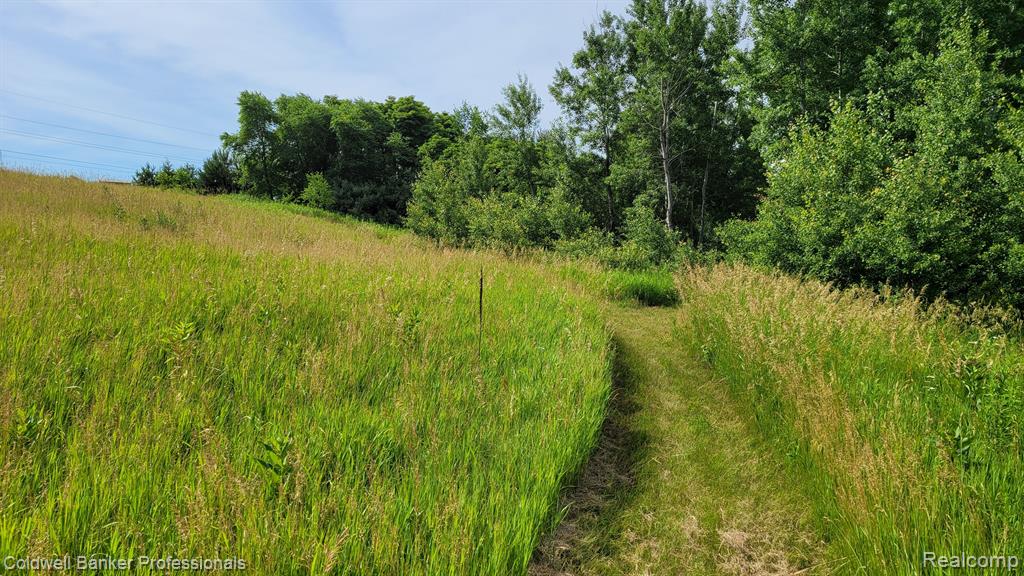 0 North Lapeer Road Columbiaville, MI 48421 - Photo 5 of 20