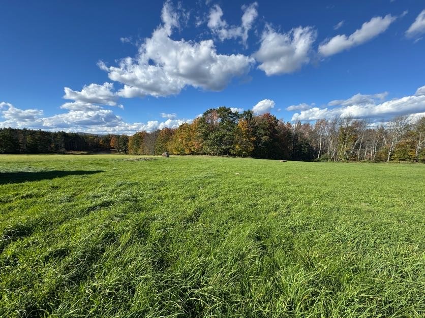 355 Meeghan Road Gilboa, NY 12167 - Photo 30 of 33 backyard view