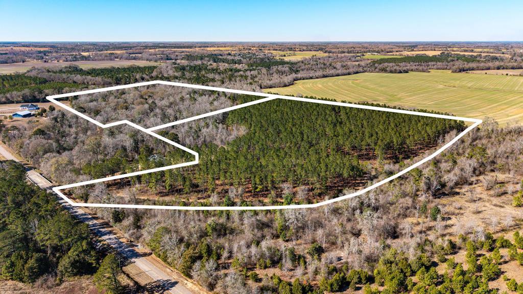0 Bruner Pond Road Ashford, AL 36312 - Photo 1 of 30