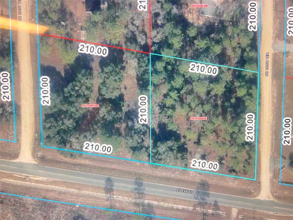 Levy Street Williston, FL 32696 - Photo 26 of 26