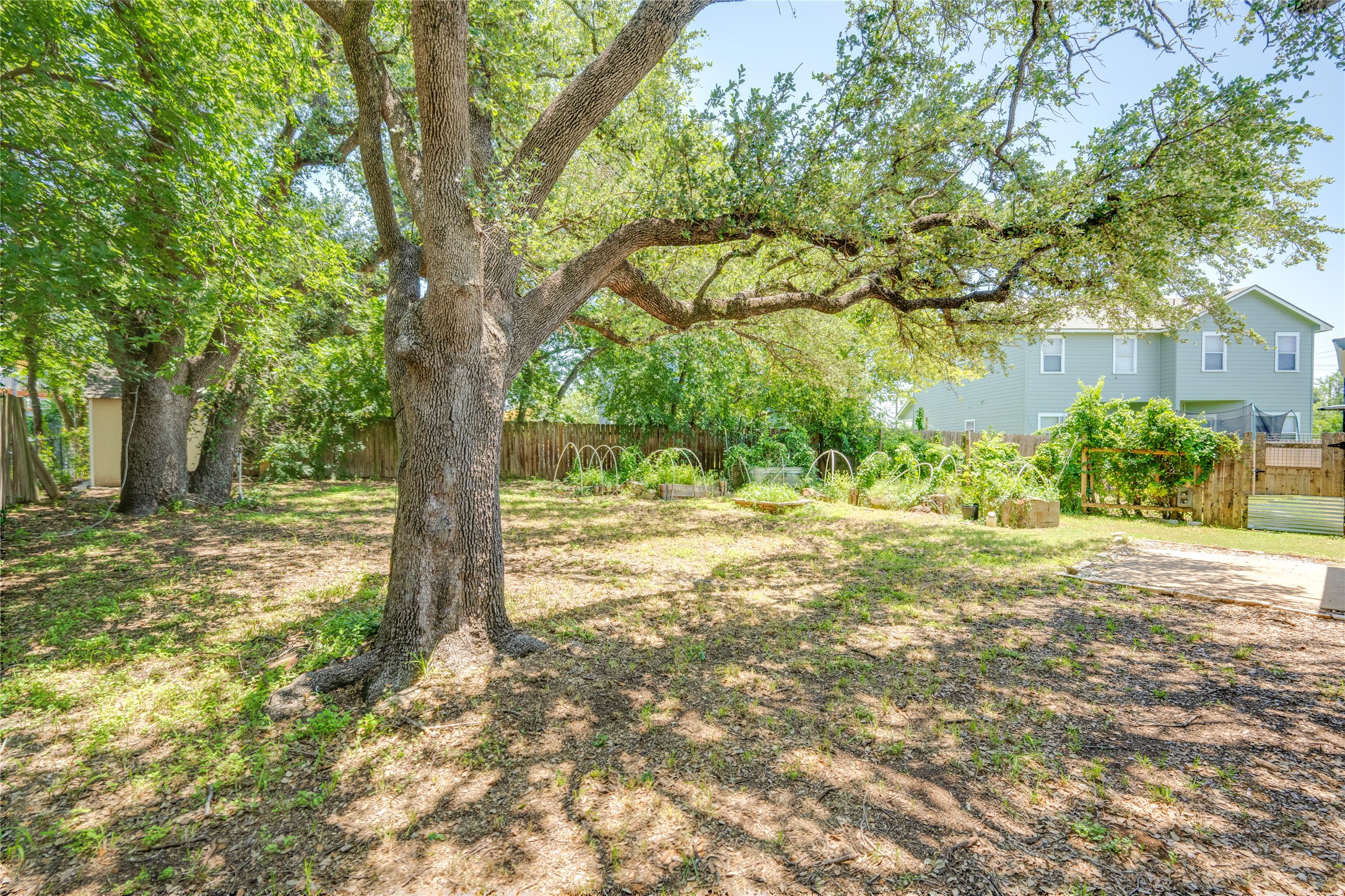 1707 Overhill Drive Austin, TX 78721 - Photo 34 of 36 Mature trees shade this spacious, fenced yard, ideal for gardening and outdoor enjoyment.
