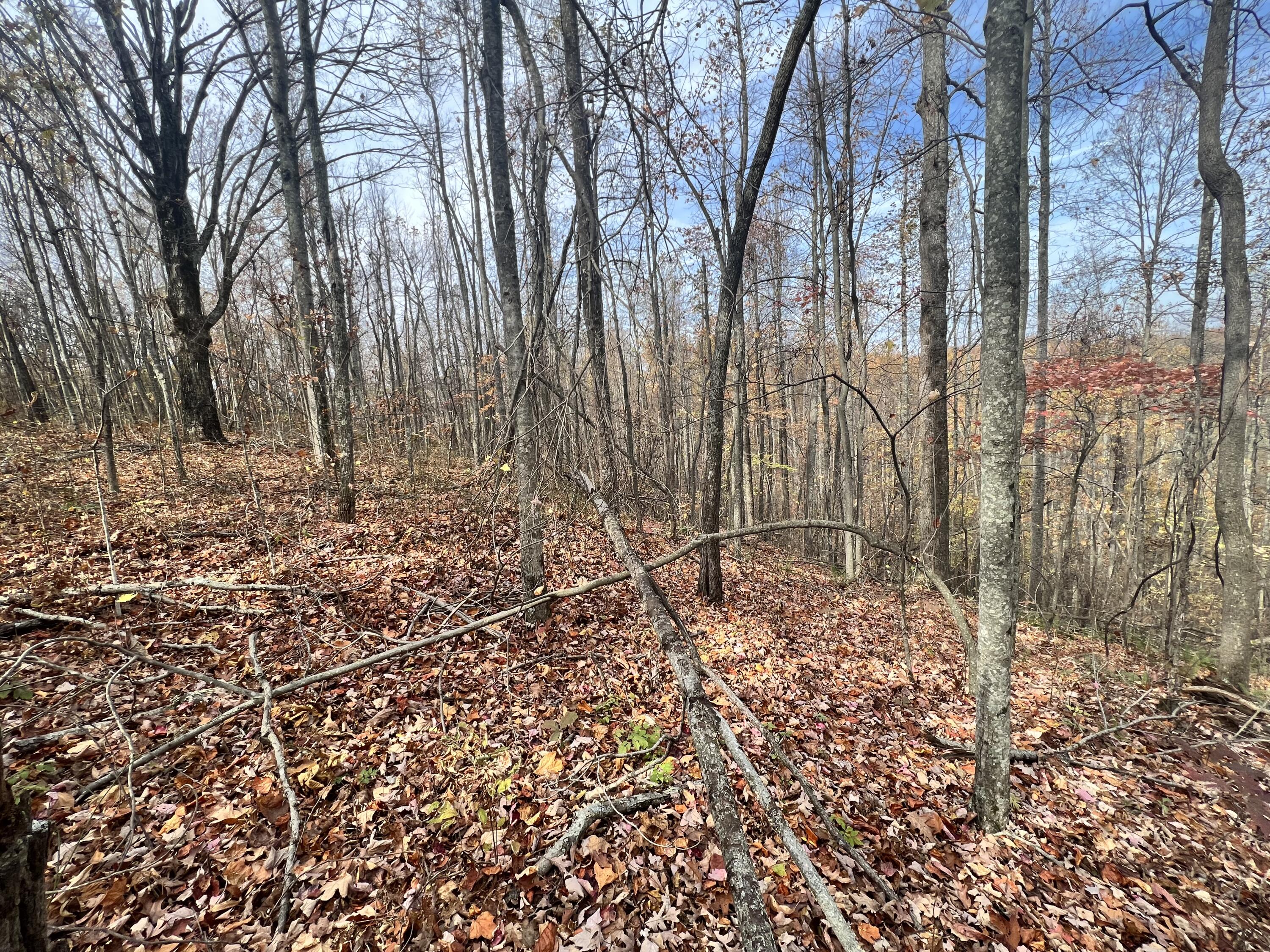 9999 Bar Creek Road Oneida, KY 40972 - Photo 8 of 15 61349DA1-9DE5-49E4-849D-7FA47CCC3694