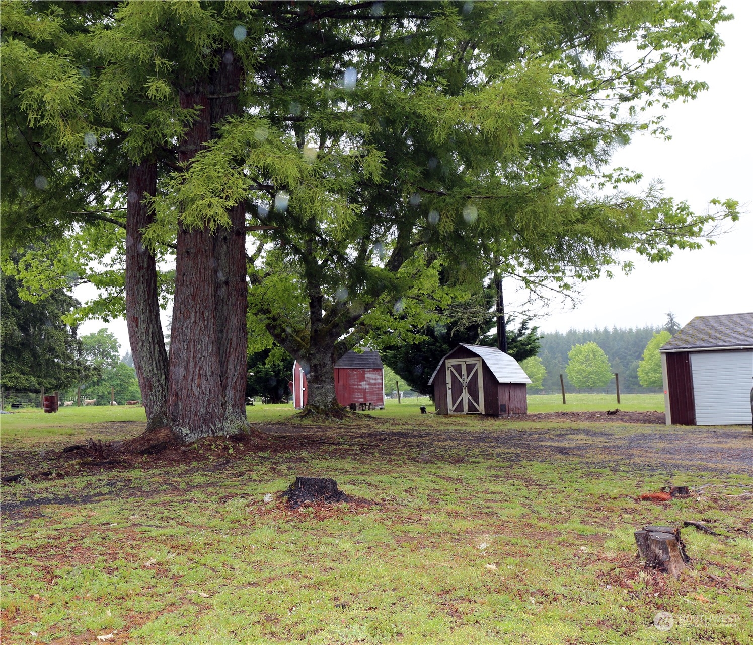 802 South Military Road Winlock, WA 98596 - Photo 14 of 14 a view of a garden with trees