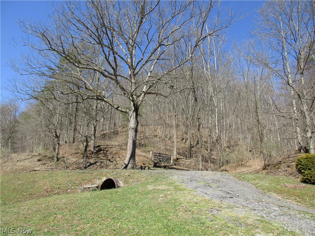 638 Short Run Road Pennsboro, WV 26415 - Photo 32 of 35 Gallery Image 32