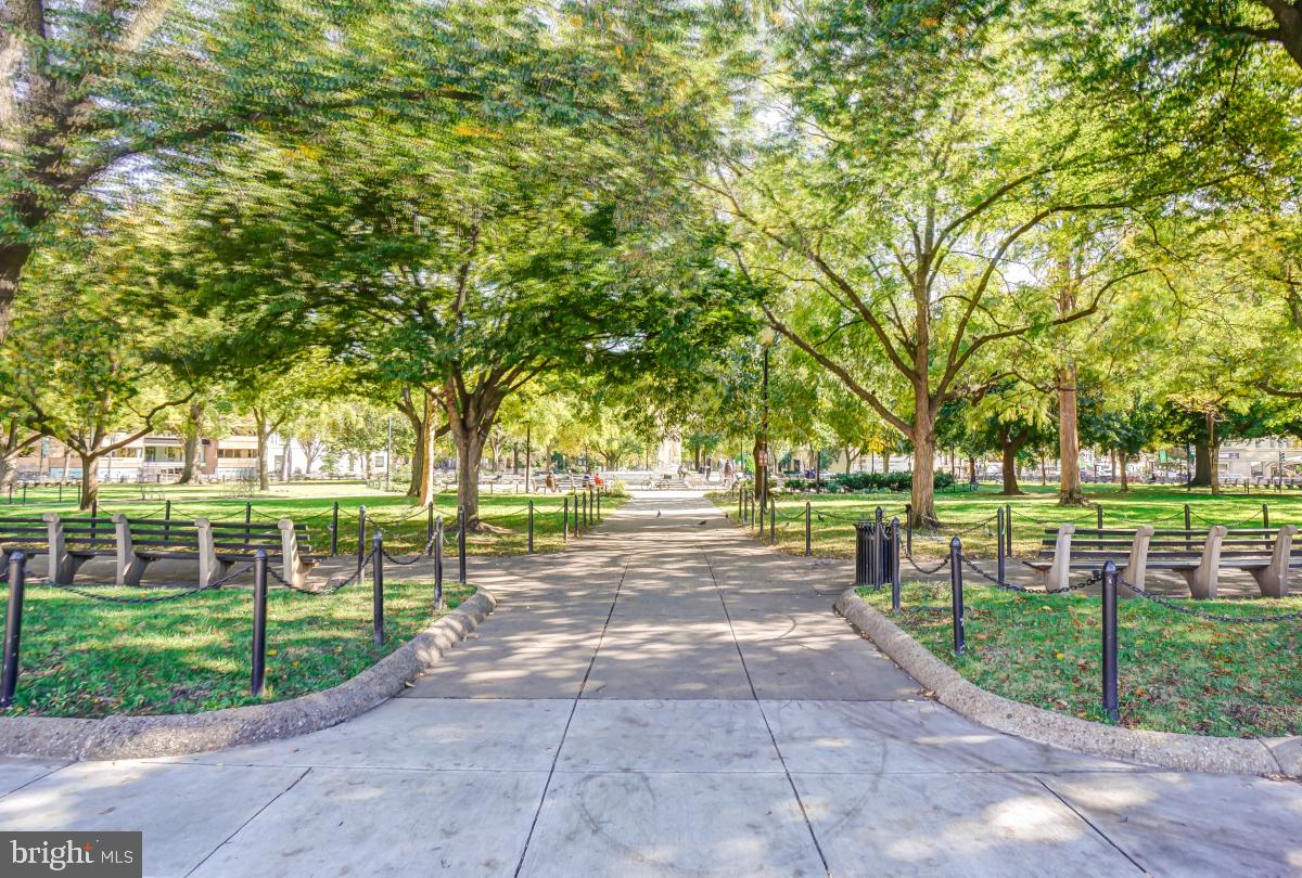 1706 16th Street Northwest, Unit 1 Washington, DC 20009 - Photo 48 of 55 a view of a park with large trees