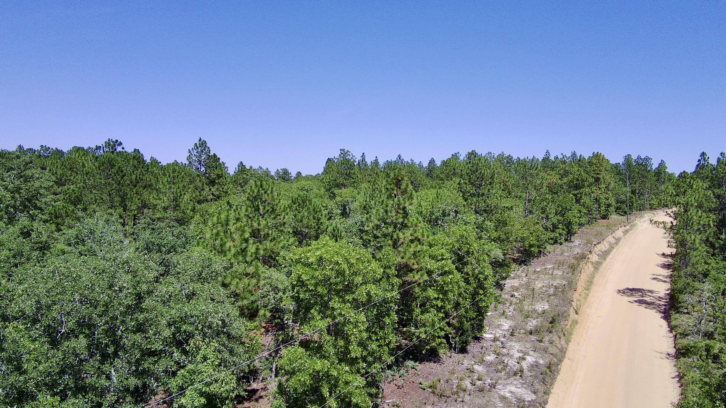 X Big Branch Road Wagener, SC 29164 - Photo 1 of 7