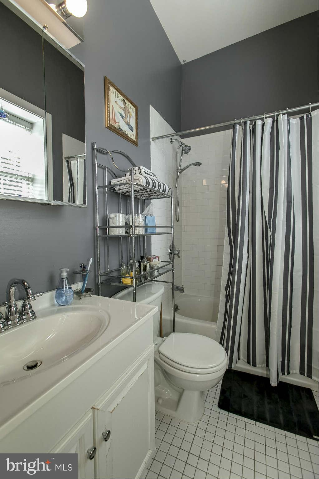 1 18th Street Southeast, Unit 301 Washington, DC 20003 - Photo 11 of 19 a bathroom with a sink a toilet a mirror and shower