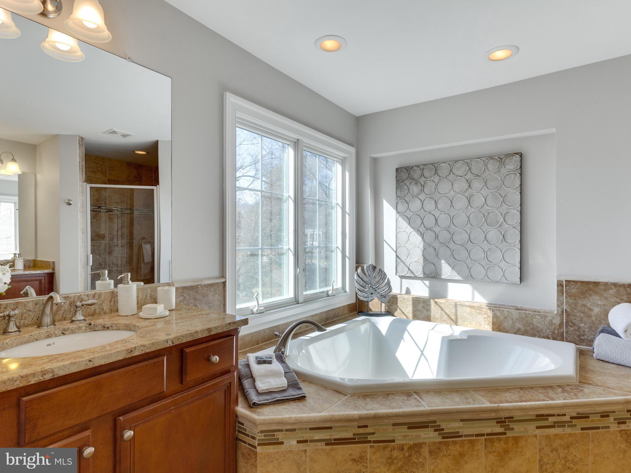1755 Beulah Road Vienna, VA 22182 - Photo 18 of 30 Bath (Master)