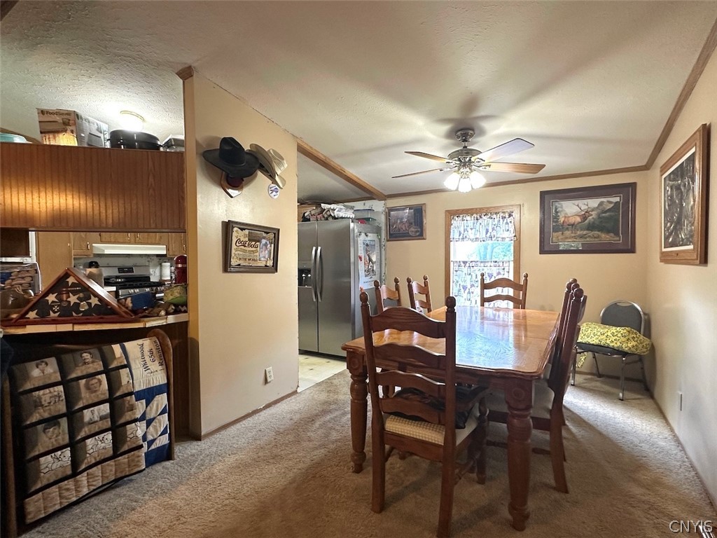 4339 Back River Road Amity, NY 14880 - Photo 10 of 34