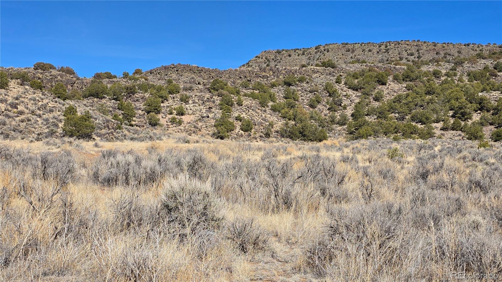 Lot 75 Old Stage Coach Road San Luis, CO 81152 - Photo 2 of 17 a view of a large tree