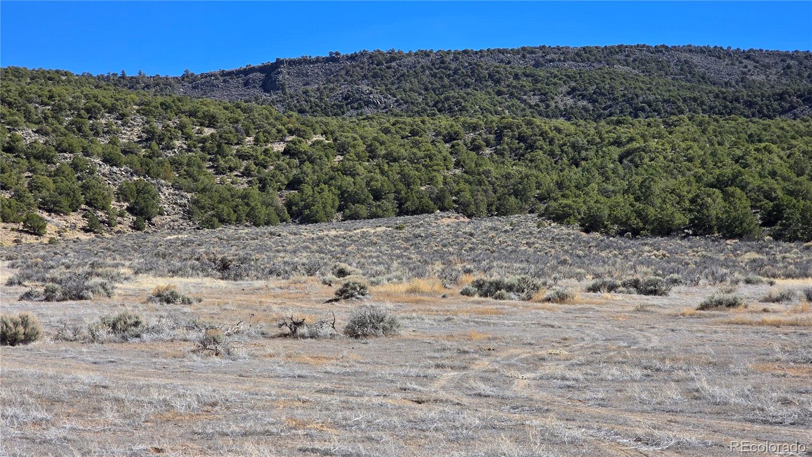 Lot 75 Old Stage Coach Road San Luis, CO 81152 - Photo 5 of 17 a view of a dry yard with wooden fence