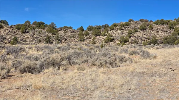 a view of a dry field with trees in the background