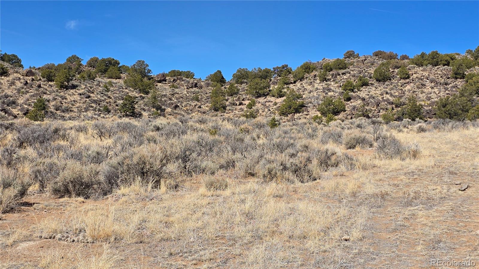 Lot 75 Old Stage Coach Road San Luis, CO 81152 - Photo 8 of 17 a view of a dry field with trees in the background