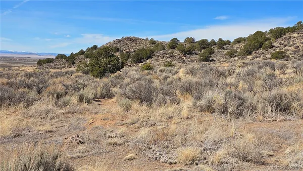 a view of a dry field