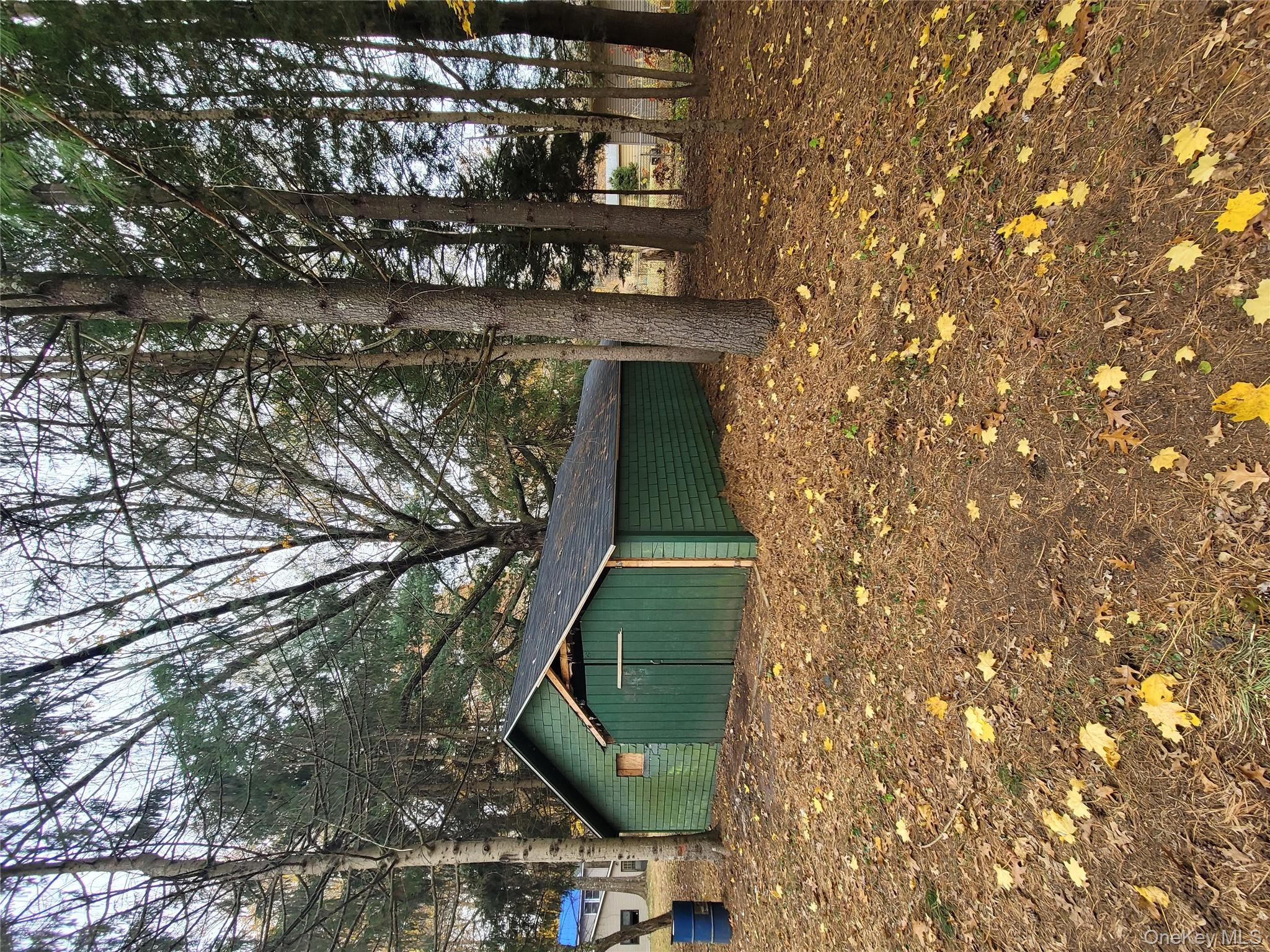 7 Smith Street Red Hook, NY 12571 - Photo 19 of 23 a house is sitting in middle of forest