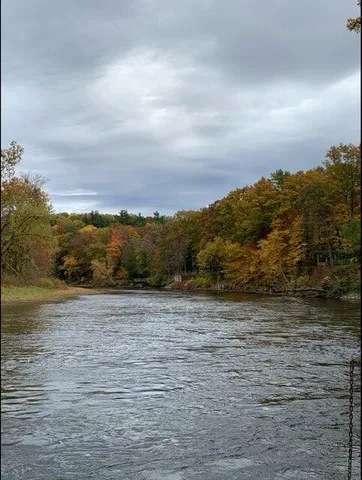 $594,000 | 7952 Main Street, Newaygo, MI 49337