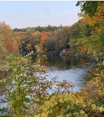 $594,000 | 7952 Main Street, Newaygo, MI 49337