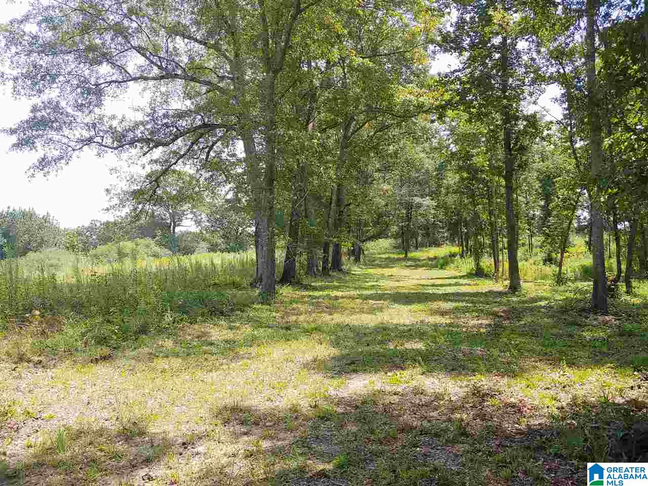 Lot 4 County Road 986, Unit 4 Montevallo, AL 35115 - Photo 3 of 5