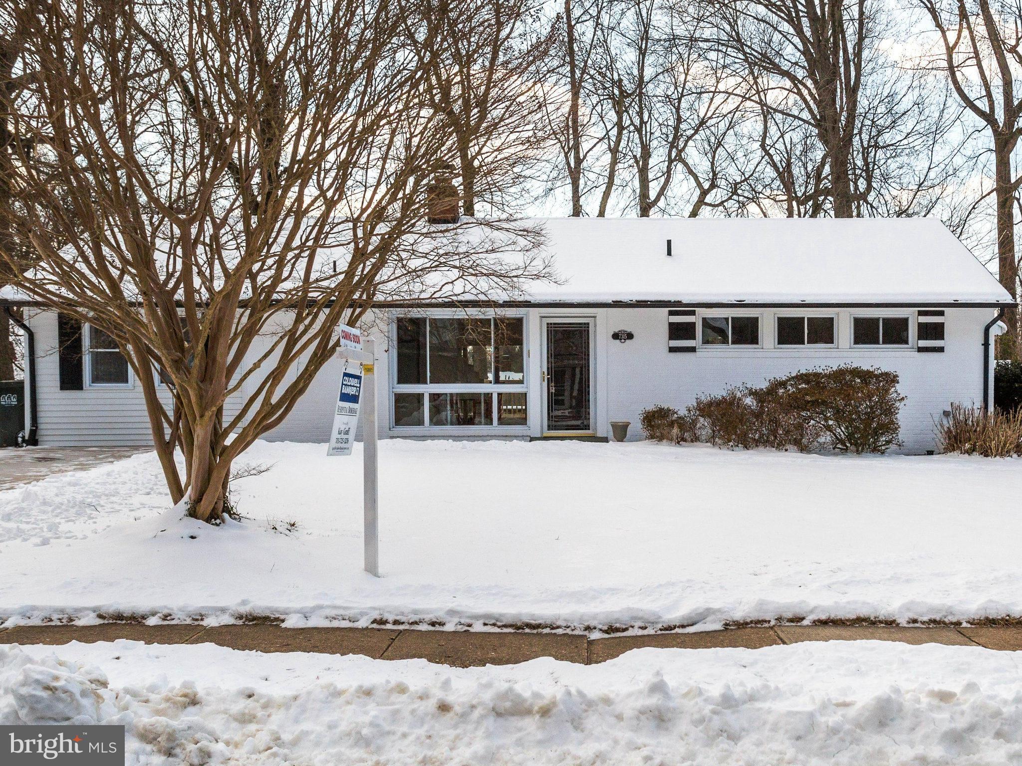 a house with trees in the background