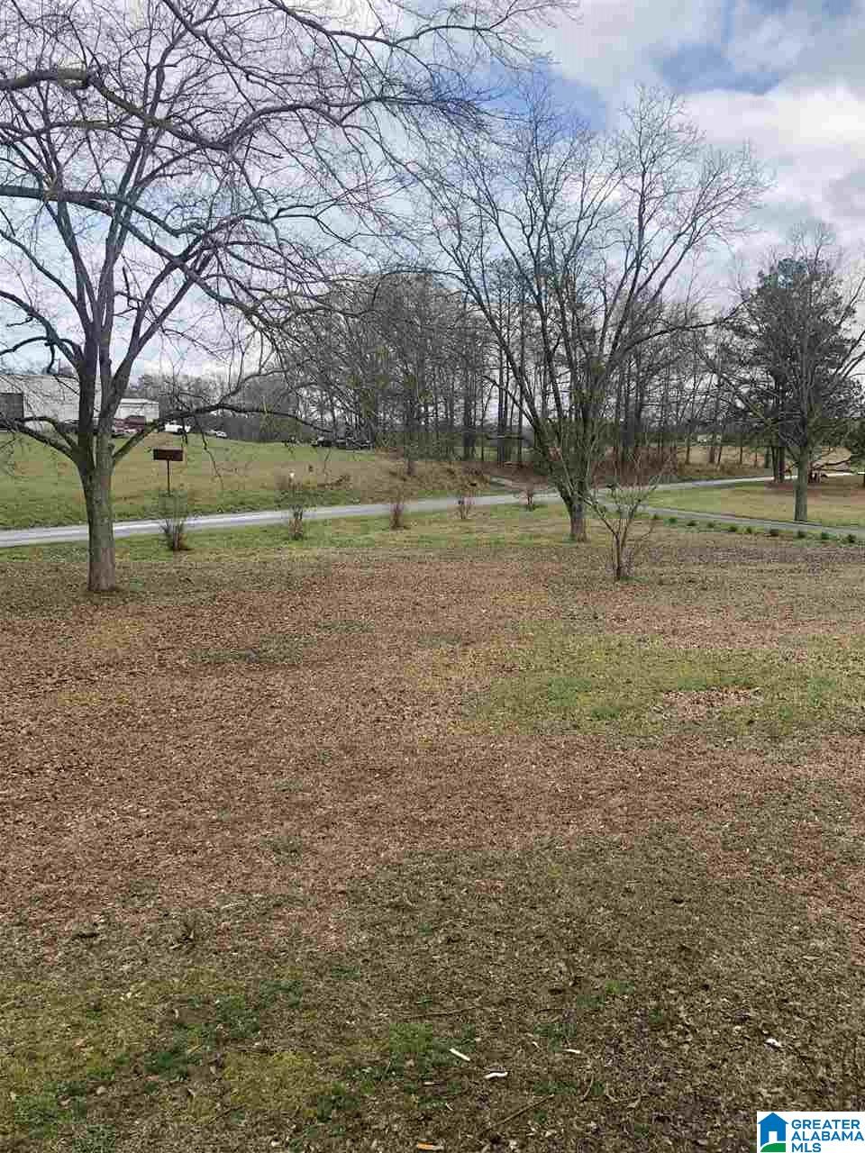 3363 County Road 81 Clanton, AL 35045 - Photo 25 of 35