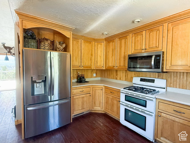 425 East Mule Deer Road Central, UT 84722 - Photo 15 of 72 Kitchen with appliances with stainless steel finishes, open shelves, light countertops, dark wood-type flooring, and a textured ceiling