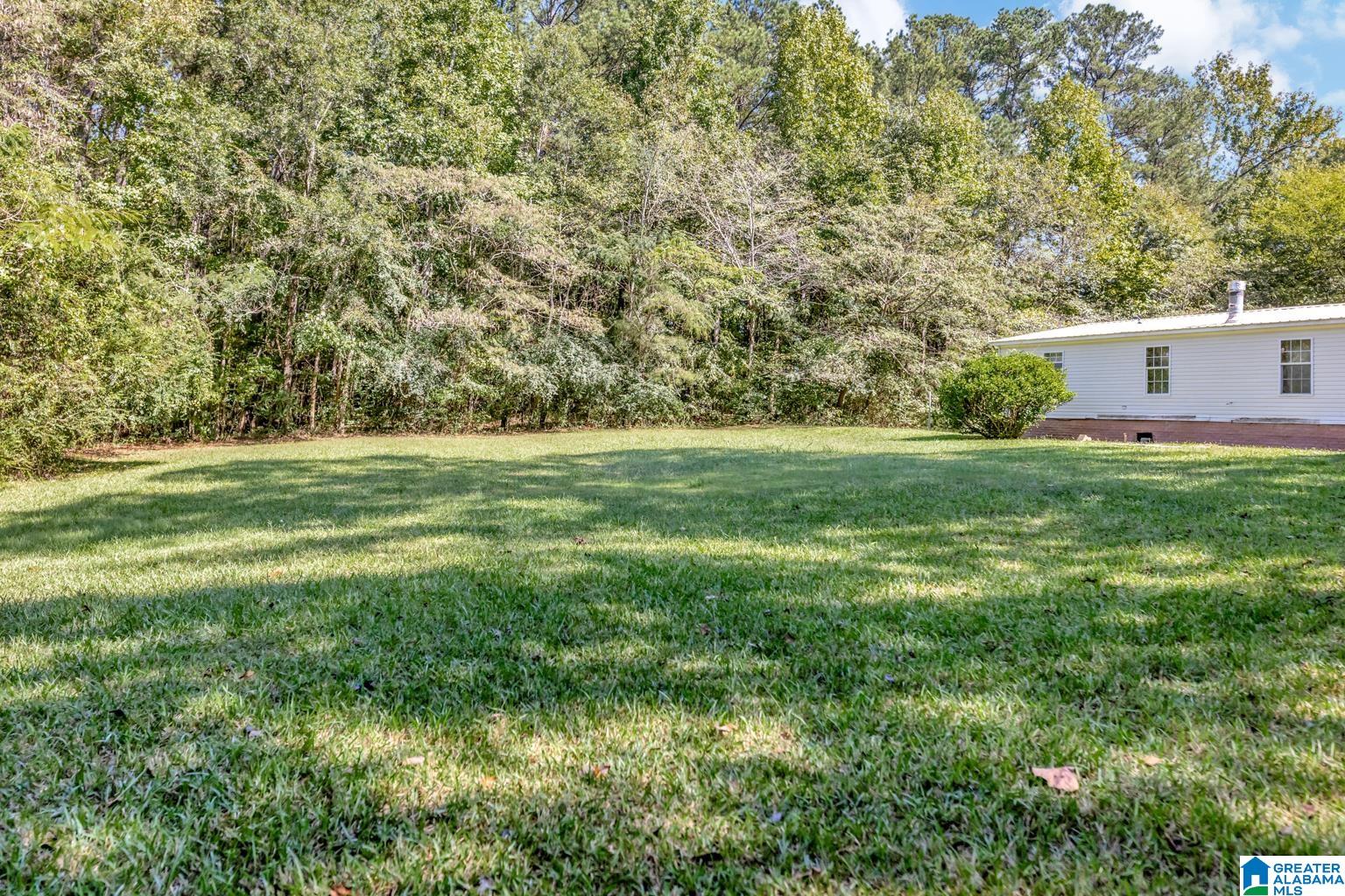 5400 Bryan Road Dora, AL 35062 - Photo 10 of 30