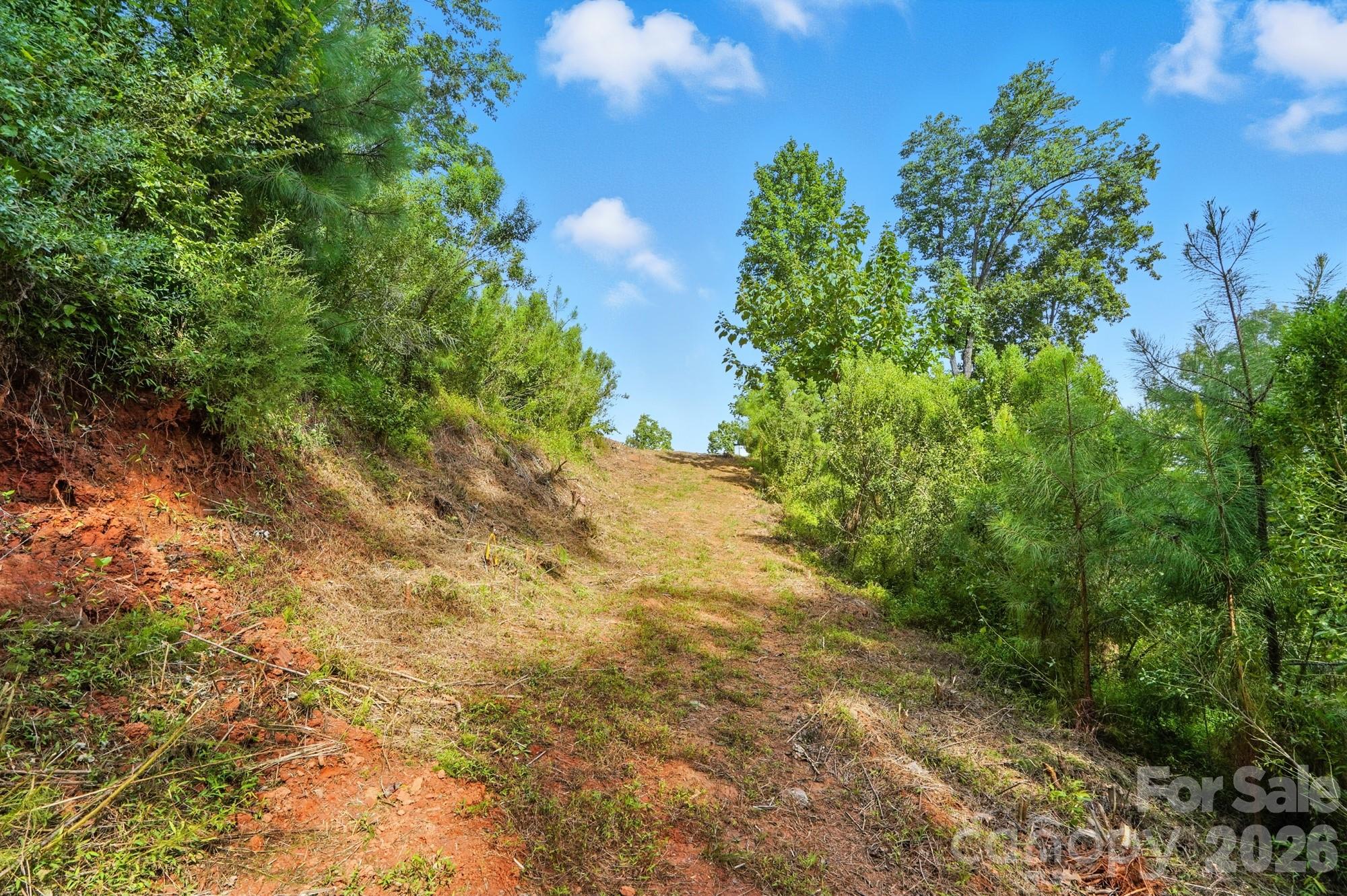 29010 Silver Fox Drive Tega Cay, SC 29708 - Photo 9 of 21 Gallery Image 9
