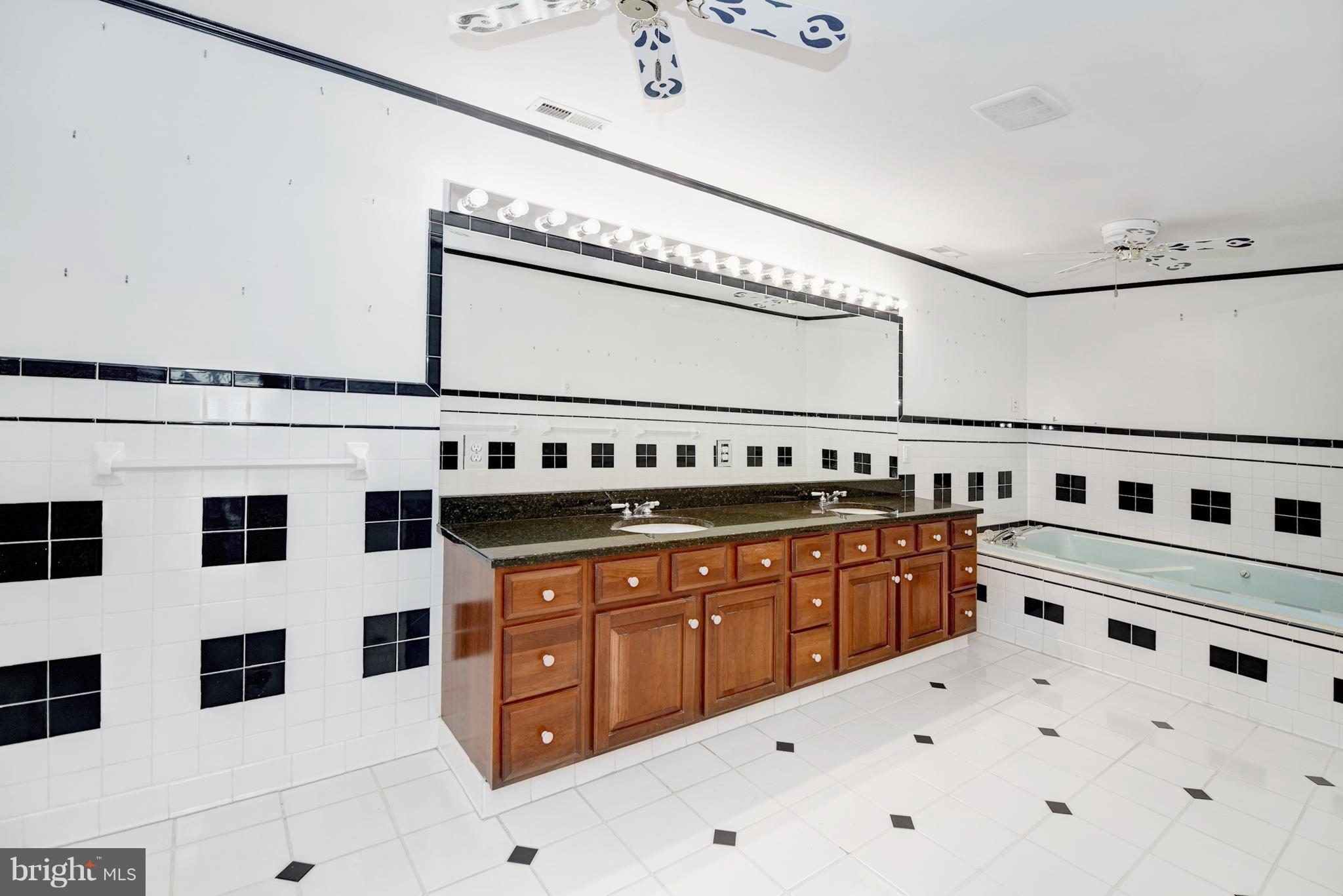 406 River Road Chestertown, MD 21620 - Photo 12 of 28 Master Bath