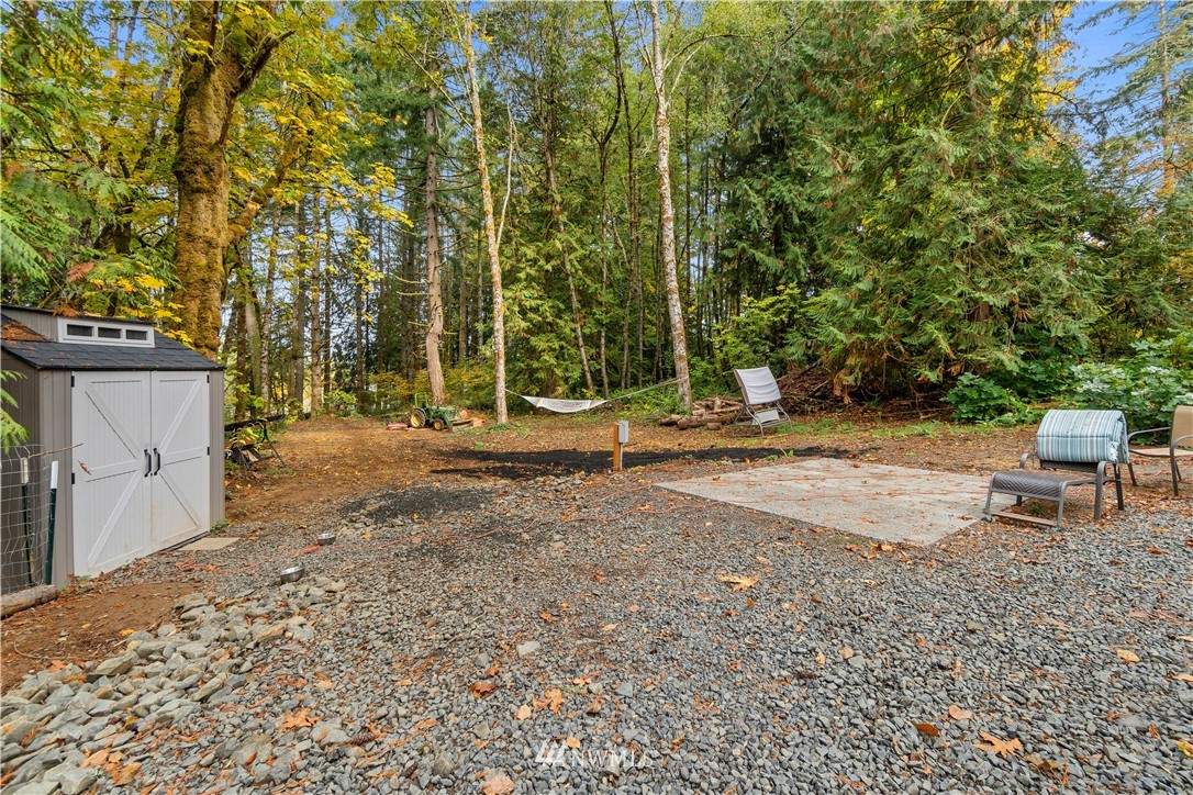 117 Fay Road Chehalis, WA 98532 - Photo 8 of 27 a view of backyard with trees