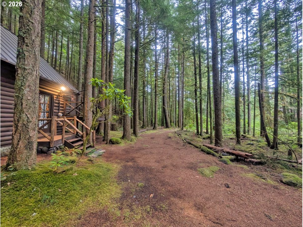 73822 East Nf-20e Rhododendron, OR 97049 - Photo 23 of 26
