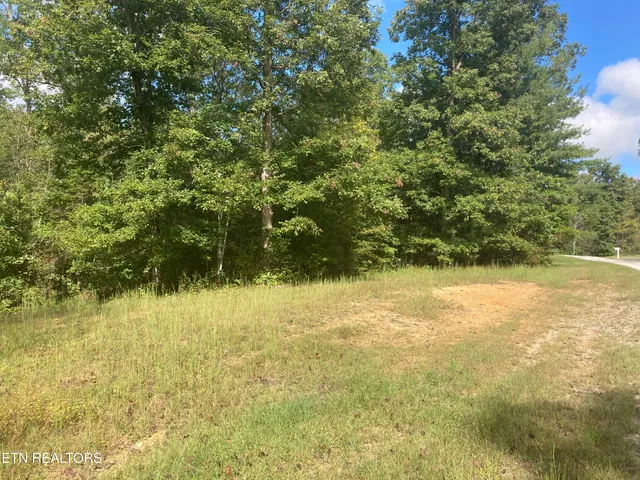 $28,400 | 10-11 Hardin Private Drive, Robbins, TN 37852