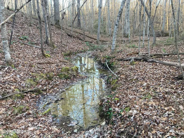 $28,400 | 10-11 Hardin Private Drive, Robbins, TN 37852