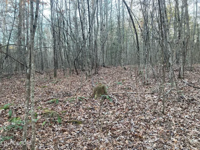 $28,400 | 10-11 Hardin Private Drive, Robbins, TN 37852