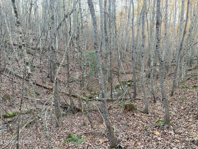 $28,400 | 10-11 Hardin Private Drive, Robbins, TN 37852