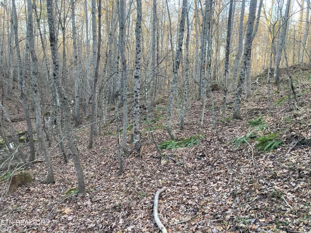 $28,400 | 10-11 Hardin Private Drive, Robbins, TN 37852