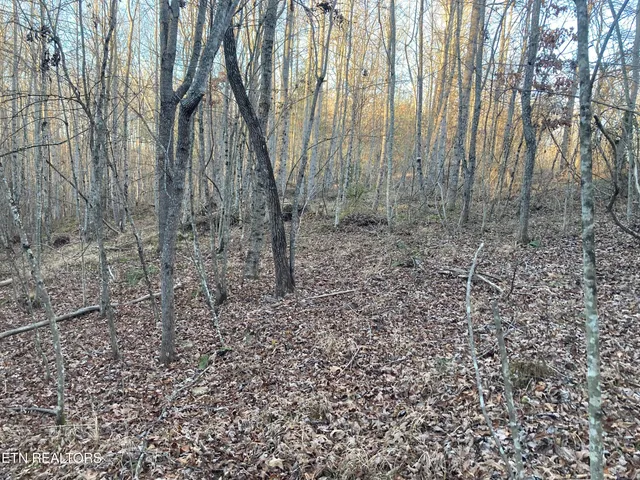 $28,400 | 10-11 Hardin Private Drive, Robbins, TN 37852