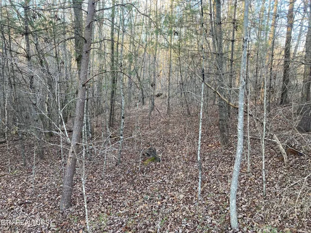 $28,400 | 10-11 Hardin Private Drive, Robbins, TN 37852