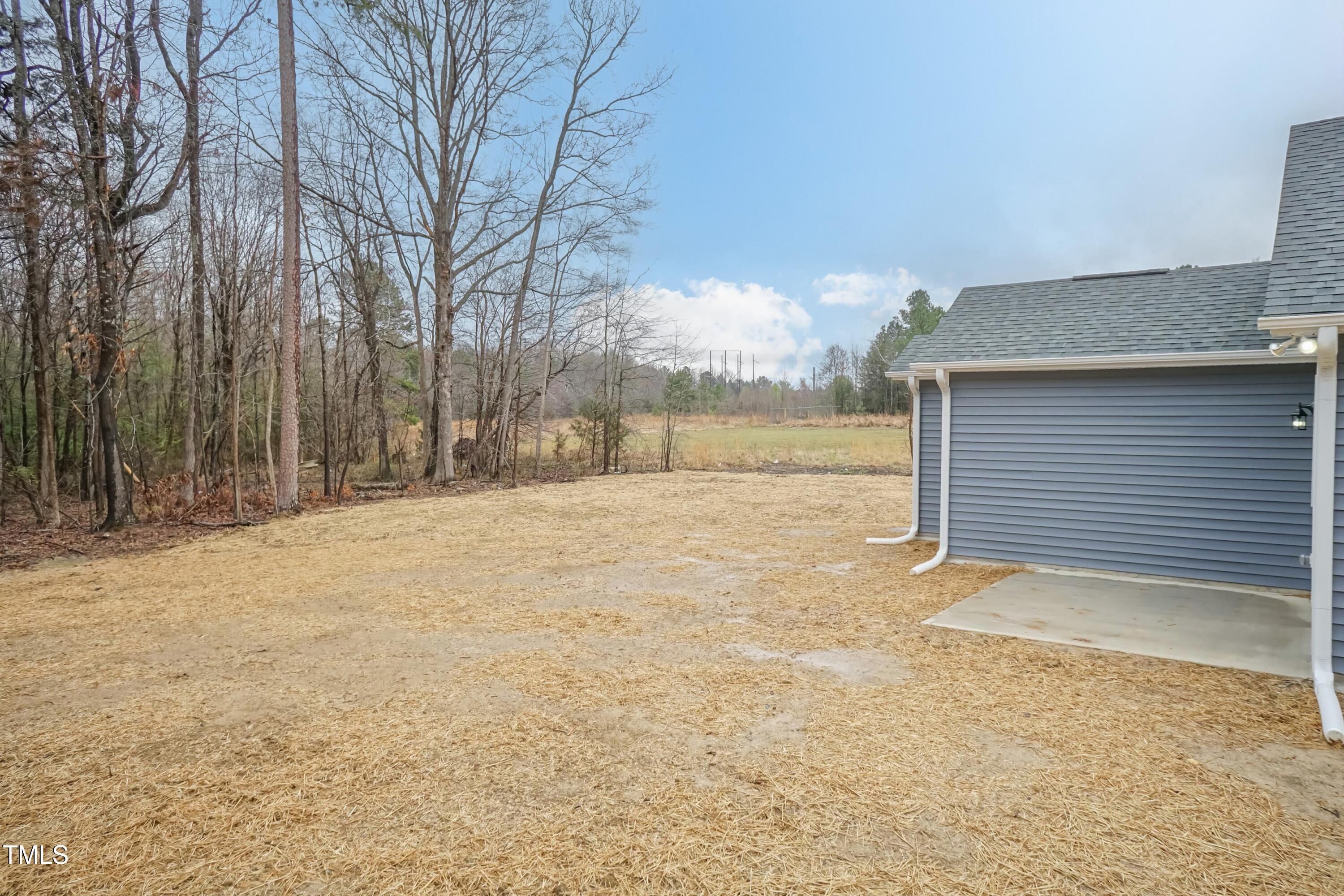 175 David Lane Roxboro, NC 27573 - Photo 24 of 29 Back Yard 01