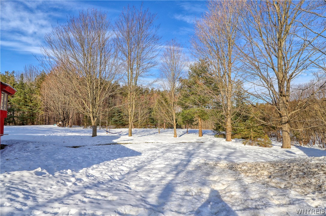 9403 Monk Hill Road East Otto, NY 14729 - Photo 26 of 35