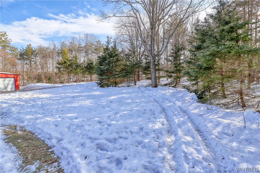 9403 Monk Hill Road East Otto, NY 14729 - Photo 27 of 35